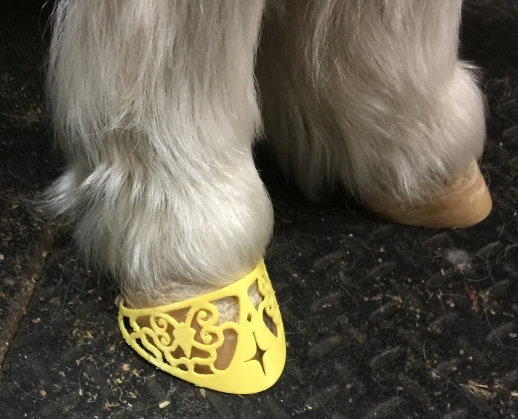 Decorated Hooves